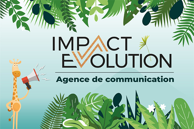 Impact Evolution
